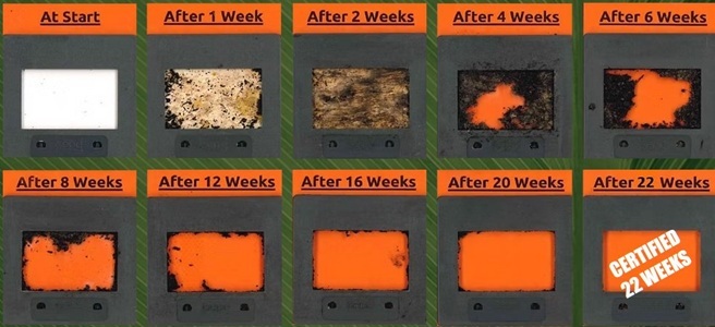 Delipac paperboard aerobic disintegration time-lapse from At Start through to certified disintegration at 22 weeks